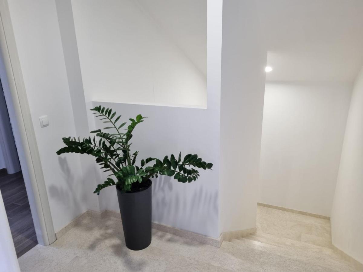 Apartmani Tolj Макарська Екстер'єр фото